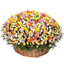 Премиум букет из: Розы #REPLACE_PRED# Воронежском