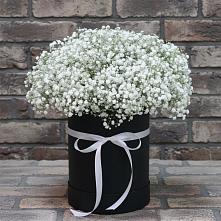 Цветочная композиция из Гипсофила в шляпной коробке в Воронежском